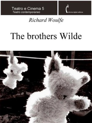 cover image of The brothers Wilde